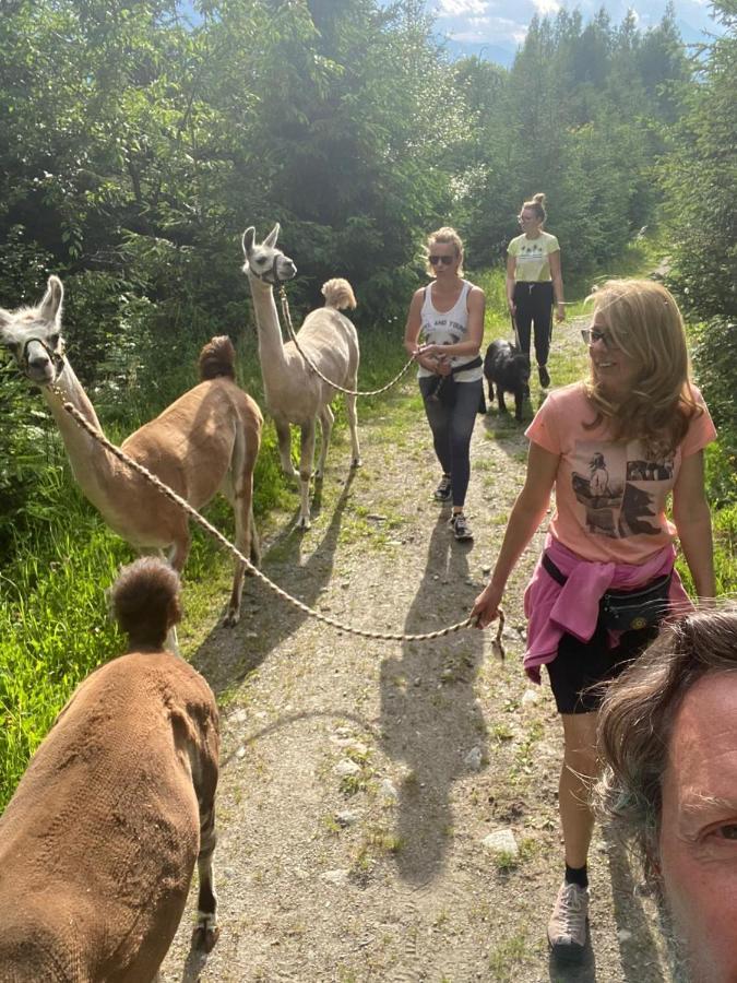 Naturidyll Brunner Kostendorf Eksteriør billede